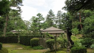 周りには緑の木々が生い茂り、小漏れ日の降り注ぐ中の散策は非常に気持ちが良かったです