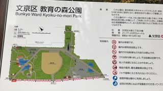 東京教育大学の跡地