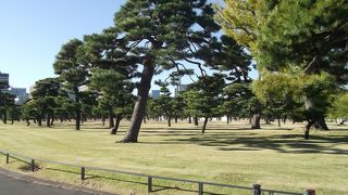 のんびりとくつろげる日本庭園風の公園
