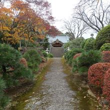 山門から本堂までの道
