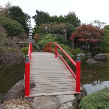 池に架かる太鼓橋