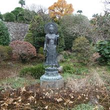 蓮の花は枯れていた