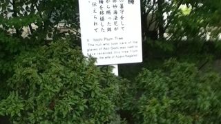 山門の斜め左奥にある