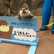 ほのぼのした水族館