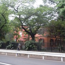 東京芸術大学
