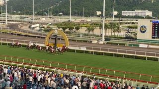 のんびり競馬を楽しむ