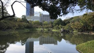 庭園の中心的存在