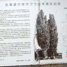 再生記念の看板（平成17年6月1日）