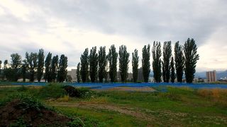 東側からもかろうじて見える