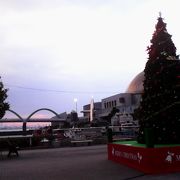 12月は海のそばにクリスマスツリーが設置