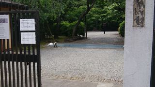 旧朝倉家住宅　よく保存された邸宅