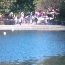 側にはプールがありその奥にあります