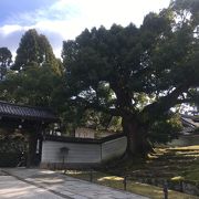 天台宗の三門跡寺院の一つ