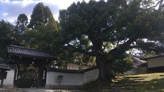 天台宗の三門跡寺院の一つ