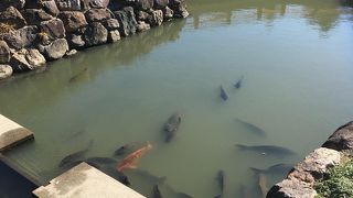 内宮に比べて人は少ない