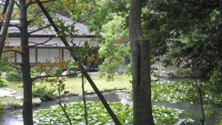 時雨亭横にある静かな池