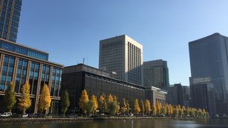 高層ビルと皇居の境に