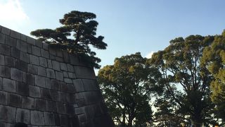 皇居東御苑の中