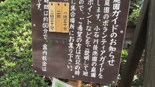 都会のオアシス