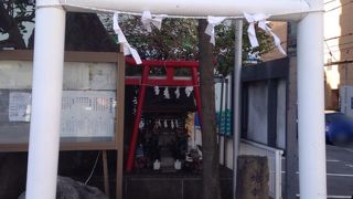 蛇づくしかと思いきやカエルも