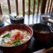 湯葉丼をいただきました