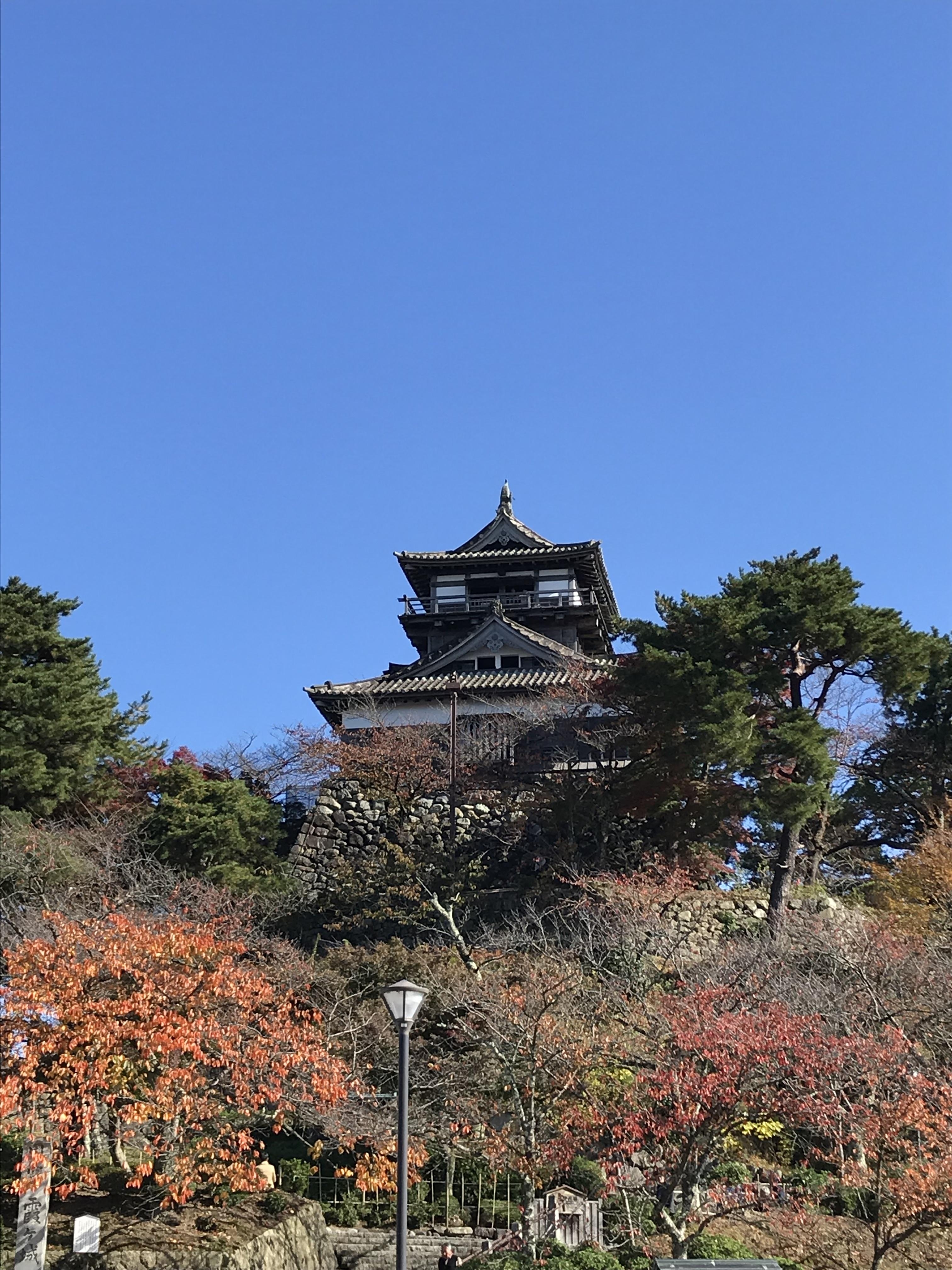 桜の木々に囲まれた端正な姿のお城