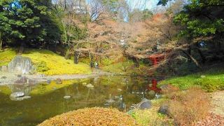 京都嵐山の大堰川をイメージ