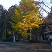 冨士御室浅間神社の紅葉