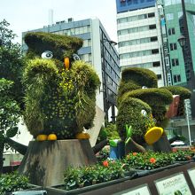 いけふくろうの家族