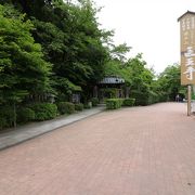 白山神社のお隣り