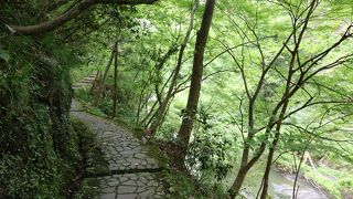 整備されている遊歩道