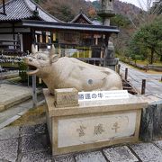 庭園以外も見どころは多いです