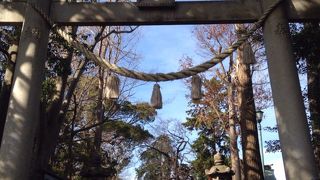 1192年に鎌倉八幡宮から歓請された