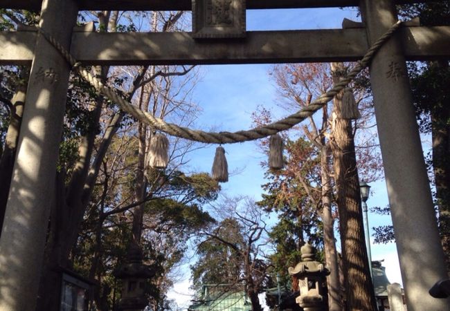 1192年に鎌倉八幡宮から歓請された