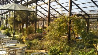 のんびりとリラックス