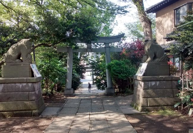 神社境内は落ち着いた感じがいつもしていてなかなか