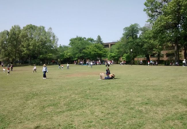 大きな近隣住民向けの公園で、芝生がたいへんきれい