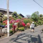 千歳烏山駅を通るなら、是非とも訪れたい場所