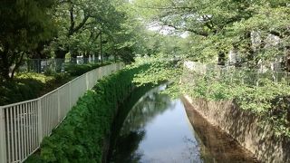 新緑の時期もたいへん美しいです。