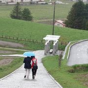 ラベンダーある時きっと綺麗と思う