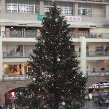 クリスマス気分を味わえます