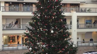 昼間に行ってきた