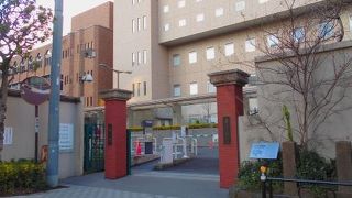 新旧の建物が見られる