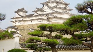 大天守の撮影にもオススメです