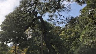 九八屋の前に広がる