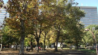 運動不足の解消に