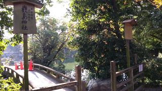 丸い池とその周りの日本庭園っぽい木々が美しい