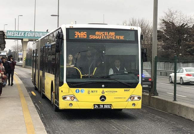 路上とガイドウェイバスの2種類