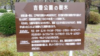 鵜飼いの鵜もいます