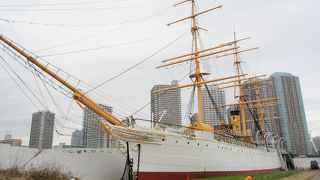 ガイドさんによる説明も聞くことができます